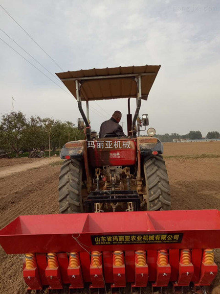济宁香蕉视频污视频种植机 济宁香蕉视频污视频种植机